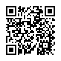 To view this 2003 Honda Pilot Melbourne FL from Big Daddys Auto Sales and Services | Used BHPH Cars, please scan this QR code with your smartphone or tablet to view the mobile version of this page.