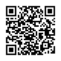 To view this 2012 BMW 7-Series Melbourne FL from Big Daddys Auto Sales and Services | Used BHPH Cars, please scan this QR code with your smartphone or tablet to view the mobile version of this page.