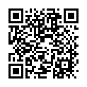 To view this 2014 Hyundai Veloster Melbourne FL from Big Daddys Auto Sales and Services | Used BHPH Cars, please scan this QR code with your smartphone or tablet to view the mobile version of this page.