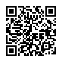 To view this 2011 Ford Flex Melbourne FL from Big Daddys Auto Sales and Services | Used BHPH Cars, please scan this QR code with your smartphone or tablet to view the mobile version of this page.