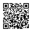 To view this 2017 Chrysler 300 Melbourne FL from Big Daddys Auto Sales and Services | Used BHPH Cars, please scan this QR code with your smartphone or tablet to view the mobile version of this page.