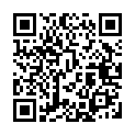 To view this 2010 Lincoln MKS Melbourne FL from Big Daddys Auto Sales and Services | Used BHPH Cars, please scan this QR code with your smartphone or tablet to view the mobile version of this page.