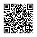 To view this 2017 Nissan NV200 Melbourne FL from Big Daddys Auto Sales and Services | Used BHPH Cars, please scan this QR code with your smartphone or tablet to view the mobile version of this page.
