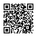 To view this 2014 Volkswagen Passat Melbourne FL from Big Daddys Auto Sales and Services | Used BHPH Cars, please scan this QR code with your smartphone or tablet to view the mobile version of this page.