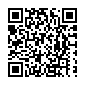 To view this 2013 Nissan Juke Melbourne FL from Big Daddys Auto Sales and Services | Used BHPH Cars, please scan this QR code with your smartphone or tablet to view the mobile version of this page.