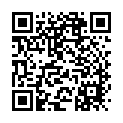 To view this 2013 Chevrolet Impala Melbourne FL from Big Daddys Auto Sales and Services | Used BHPH Cars, please scan this QR code with your smartphone or tablet to view the mobile version of this page.