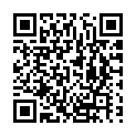To view this 2015 Dodge Dart Melbourne FL from Big Daddys Auto Sales and Services | Used BHPH Cars, please scan this QR code with your smartphone or tablet to view the mobile version of this page.