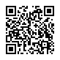 To view this 2009 Mini Clubman Melbourne FL from Big Daddys Auto Sales and Services | Used BHPH Cars, please scan this QR code with your smartphone or tablet to view the mobile version of this page.