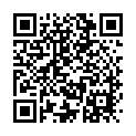 To view this 2014 Volkswagen Jetta Melbourne FL from Big Daddys Auto Sales and Services | Used BHPH Cars, please scan this QR code with your smartphone or tablet to view the mobile version of this page.